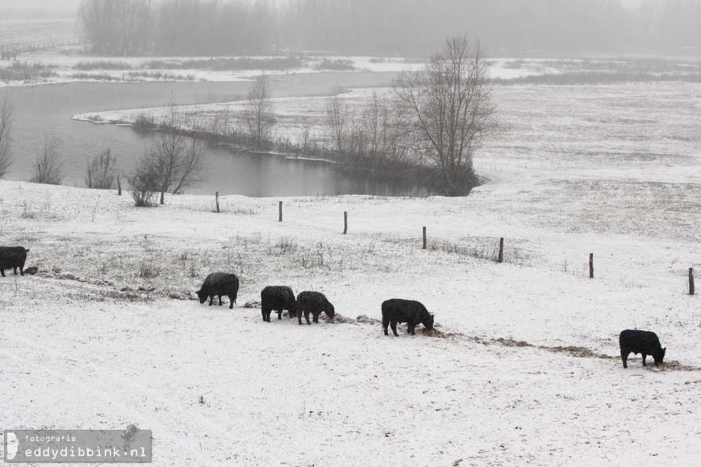 2010-11-29 Sneeuw, Deventer 013